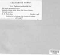 Image Associated With the Occurence